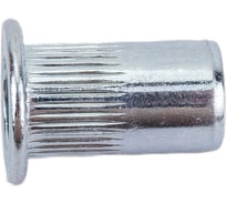 Гайка заклепка с насечкой Мир крепежа стандартный борт, М5 (0,5-3), 100 шт. УТ000012165