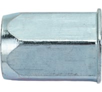 Заклепка-гайка ЦКИ М10x19 мм, плоская, уменьшенная, шестигранная СТ. Ц, под пакет 1.0-3.5 мм, 100 шт. 77551