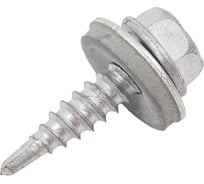 Самосверлящий винт Fasty sd02 c шайбой, 4.8x20 мм, Magnisilver 1000hrs, 250 шт. P15048200AMS