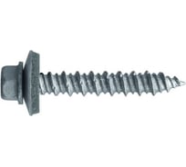 Самонарезающий винт Fasty sdw с шайбой, 6.4x41 мм, Magnisilver 1000hrs, шайба 16 мм, 250 шт. P159041AMS