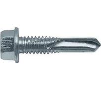 Самосверлящий винт Fasty sd8 без шайбы, 5.5x24 мм, Magnisilver 1000hrs, 500 шт. P15055243AMS