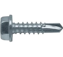 Самосверлящий винт Fasty sd3 без шайбы, 4.8x25 мм, Magnisilver 1000hrs, 500 шт. P15048253AMS