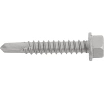 Самосверлящий винт Fasty sd5 без шайбы, 5.5x32 мм, Magnisilver 1000hrs, 500 шт. P15055323AMS