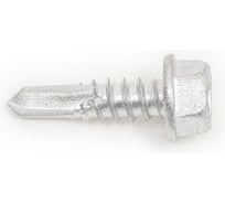 Самосверлящий винт Fasty sd5 без шайбы, 5.5x19 мм, Magnisilver 1000hrs, 500 шт. P15055193AMS