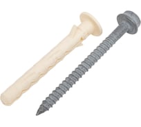 Фасадный дюбель Fasty fsk-stbf 10x80 мм, универсальный, с бортиком, 8.8 hex/т40, ТДЦ "шерардирование", 300 шт. 1200608F/300