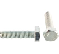 Болт с шхг полная резьба Крепежная техника DIN 558 10х40 70шт 493478 БК