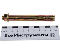 Анкерный болт с гайкой Tech-Krep 12х100 1 шт - пакет 124330
