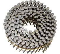 Барабанный гвоздь Пневмопарк 2,5х50 мм, ершённый 1200 шт МР-651841