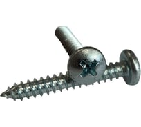 Саморез с полукруглой головкой ZAMETAL 5,5x90 мм, крест шлиц, DIN 7981, цинк, 100 шт. ZA100312