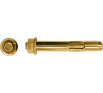 Анкерный болт с гайкой SWFS М10х77, 50шт тов-071330