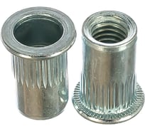 Заклепка резьбовая стальная цилиндрическая с насечкой (250 шт; М8; стандартный борт) MESSER 211108S-250