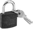 Висячий замок 30 мм, 3 ключа Top Tools 90U300 1