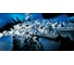 Дюбель для полнотелых материалов Fischer SX 8X40 70008 2