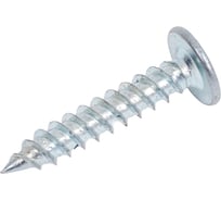 Саморез с прессшайбой Качественный крепеж 4,2х25 острая 860 шт 1000275 КЧ