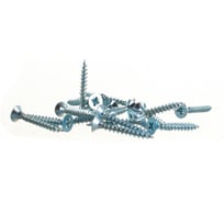 Шуруп универсальный (потайная головка 4,5 х 30) 200 шт - контейнер Партнер ФАС 8352 200 40