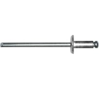 Алюминиевая заклепка Невский Крепеж 4x6 1000 шт. 827168