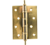 Петля стальная 100*75*2,5, 4 подшипника, декоративный колпачок Ренц 100- 4BB CH SB