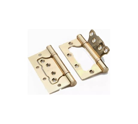 Стальная петля Ренц без врезки, 2 подшипника, плоский колпачок, латунь матовая, 2 шт. IN100-2BB FH SB безВР (2шт)