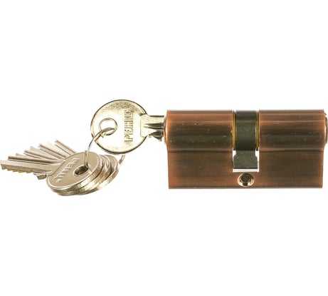 Цилиндр 60 мм К-К, стандарт Ренц INCS 60 AC