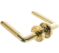 Дверная ручка Данте TIXX INDH 209-04 SG/GP
