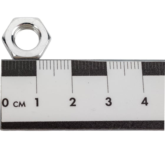 Гайка Море-Метизов DIN 439, класс прочности 6, цинк, М8, 100 шт. GAYKA439CM8100M