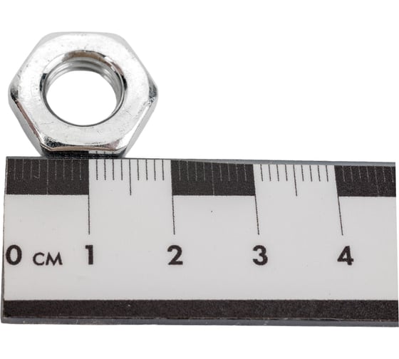 Гайка Море-Метизов DIN 439, класс прочности 6, цинк, М10, 100 шт. GAYKA439CM10100M