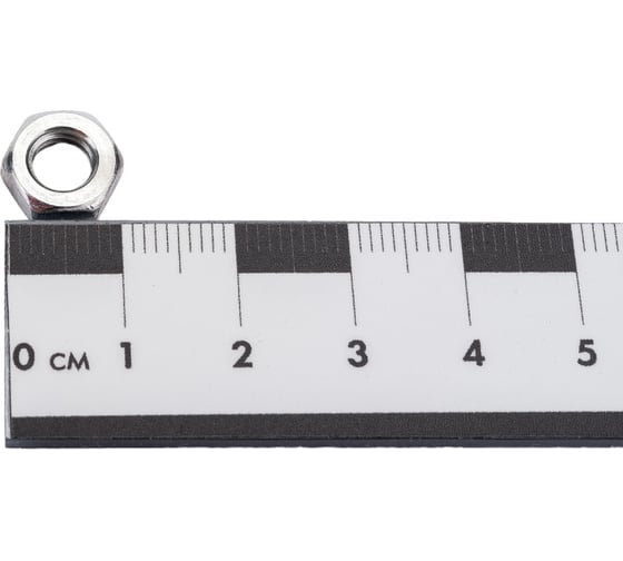 Гайка Море-Метизов DIN 439, класс прочности 6, цинк, М6, 100 шт. GAYKA439CM6100M