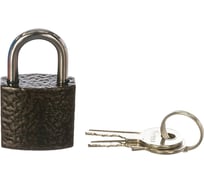 Навесной замок Avers PD-01-25 00020554