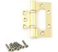 Накладная петля AVERS 75*63*2,5-B2-G 2 шт. 20368