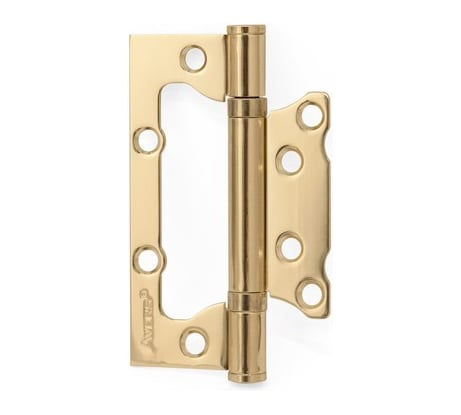 Накладная петля AVERS 100*63*2-B2-G 2 шт. 25239