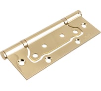 Накладная петля AVERS 125*75*2,5-B2-G 2 шт. 19901