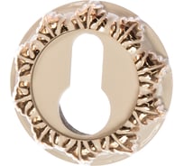 Накладка Ренц на цилиндр, белый/ золото блестящее INET 10 W/GP