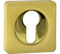 Квадратная накладка Ренц на цилиндр, латунь матовая / латунь блестящая INET 02 SG/GP