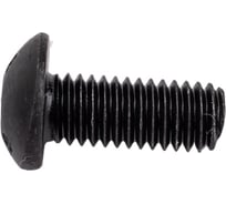 Винт Море-Метизов ISO 7380, кл. пр. 10.9, оксид, M5x12 мм, 100 шт. VINT7380512100M