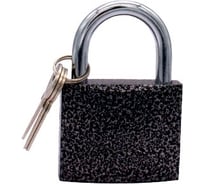 Навесной замок TOOLAS мини, 25 мм 00000014064