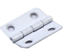 Накладная петля ZKPI упаковка 200 шт пол.БЕЛЫЙ PN-5-40