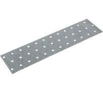 Соединительная пластина ZKPI  25 штук PS-60x500