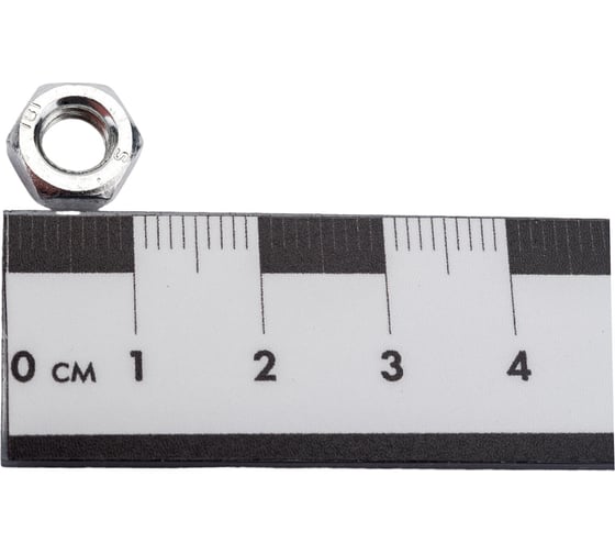 Гайка Море-Метизов DIN 439 класс прочности 6.0, цинк, М6, 10 шт. GAYKA439CM610M