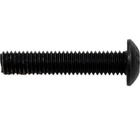 Винт Море-Метизов ISO 7380, класс прочности 10.9, оксид, M5x25 мм, 25 шт. VINT738052525M