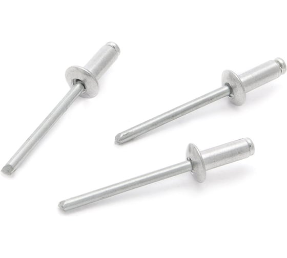 Стальные заклепки, диаметр 4,8 мм, длина 12 мм, 50 шт. в пакете Дело Техники 453512