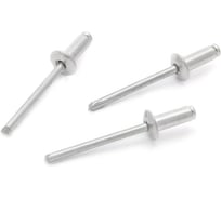 Стальные заклепки, диаметр 4,8 мм, длина 8 мм, 50 шт. в пакете Дело Техники 453508