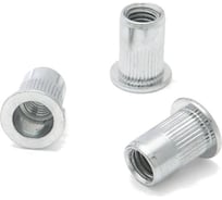 Заклепки резьбовые стальные с насечкой (150 шт; М8х17 мм) Дело техники 457817