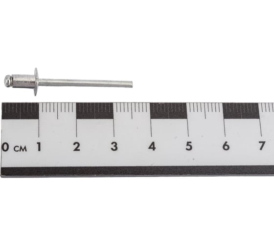 Заклепки алюминий/сталь (50 шт; 4х6 мм) Sturm 1070-40-6