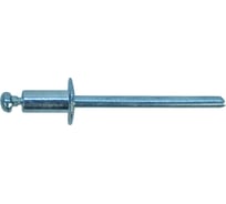 Заклепки алюминий/сталь (50 шт; 4х8 мм) Sturm 1070-40-8
