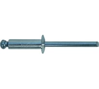 Заклепки алюминий/сталь (50 шт; 4.8х16 мм) Sturm 1070-48-16