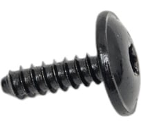 Металлический шуруп PATRON AUDI, SEAT, SKODA, VW (упаковка 100 шт.) P37-0305A