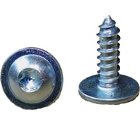 Металлический шуруп PATRON Audi, Seat, Skoda, Volkswagen, TORX, 4.2x13 P37-1527