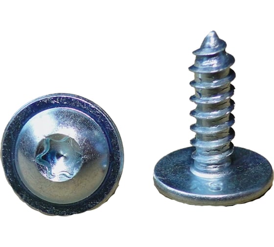 Металлический шуруп PATRON Audi, Seat, Skoda, Volkswagen, TORX, 4.2x13 P37-1527 1