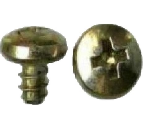 Металлический шуруп PATRON Audi, Seat, Skoda, Volkswagen P37-1546