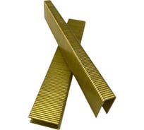 Усиленная скоба ForEst H-21 cnk (тип 92) 8000 штук МБ000018194